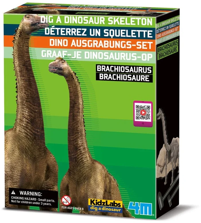 4M Graaf Je Dino Op – Brachiosaurus – FR + NL Versie