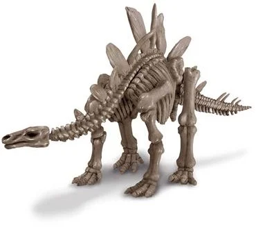 4M Graaf Je Dino Op – Stegosaurus – FR + NL Versie