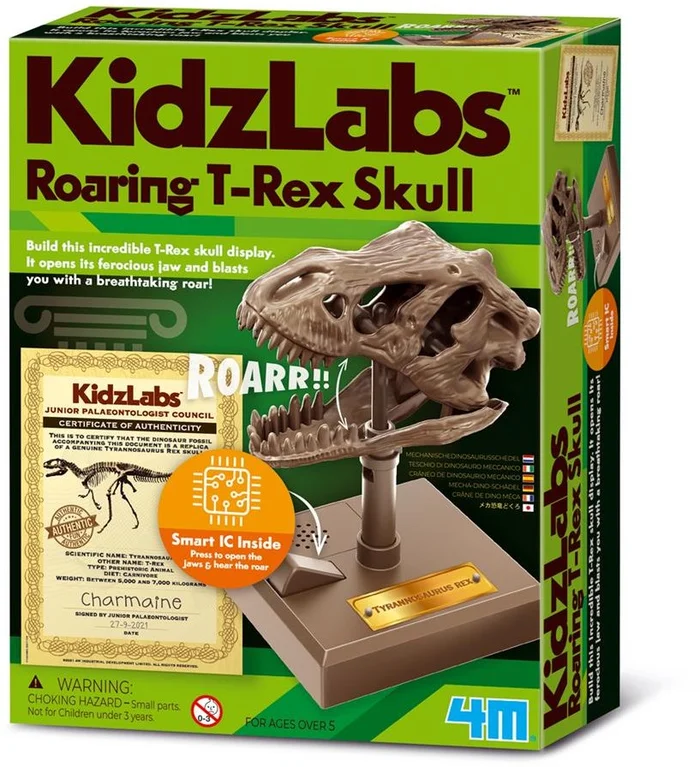 4M KIDZROBOTIX: BRÜLLENDE T-REX SCHÄDEL 12cm