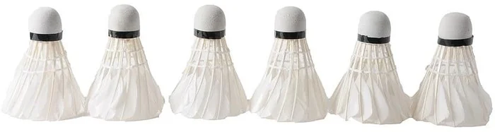 6 echte Federbälle Badminton Bälle Angel Toys