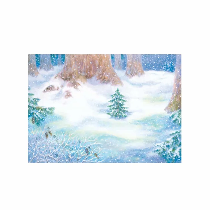 Adventskalender Tierweihnacht im Wald 21×14,8