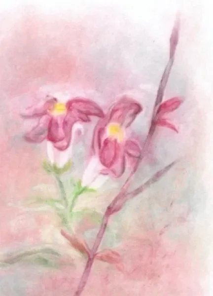 Aufatmen Günstig in hoher Qualität