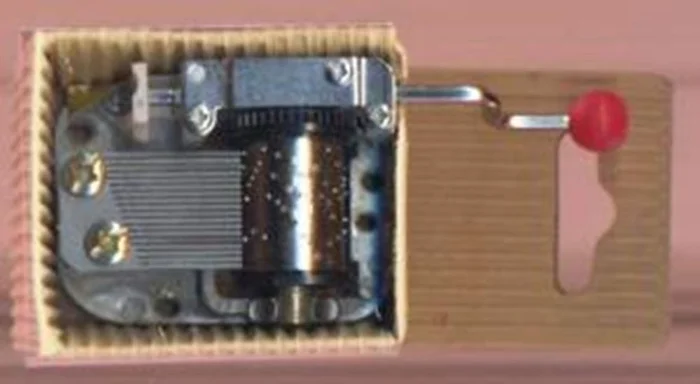 Beebielove Beebielove Jungenshirt in grau melange Baby, Kinder Jungen