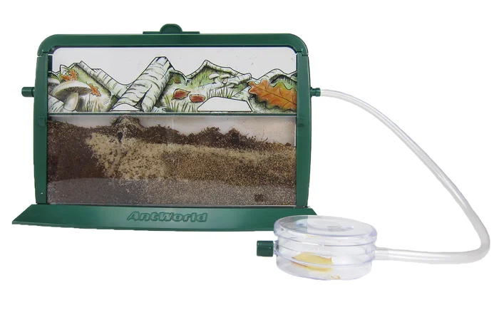 Beobachtungsset Ameisen 9tlg.