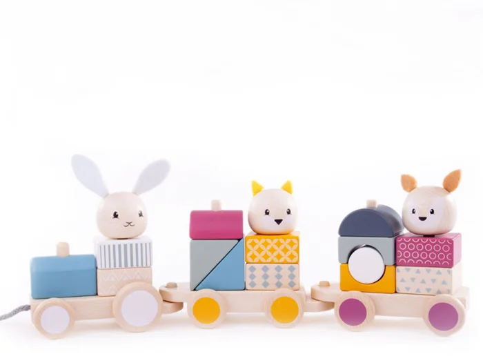 Bigjigs Activity Nachziehzug FSC 100%