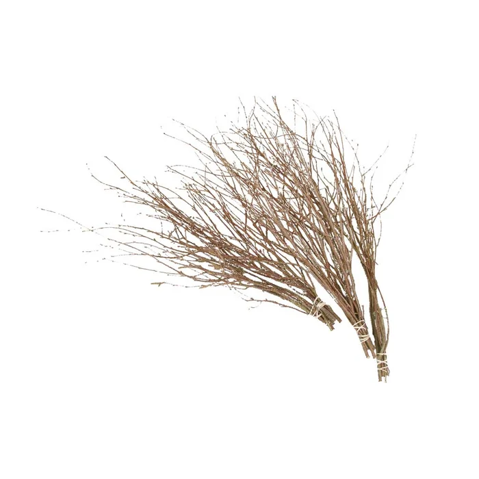 Birkenzweige zum Basteln online kaufen