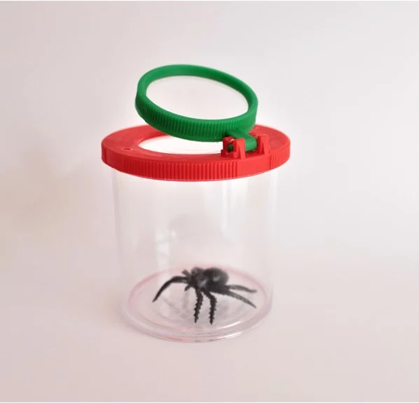 Box with magnifying glass, big-sized