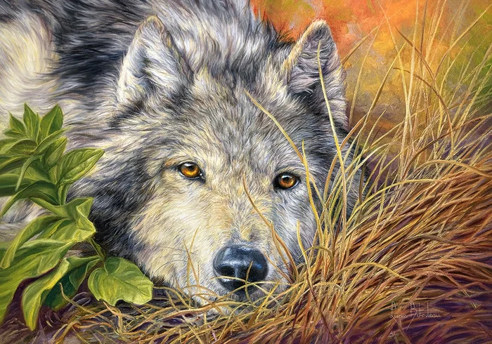 Castorland Reine Seele – 500 Teile