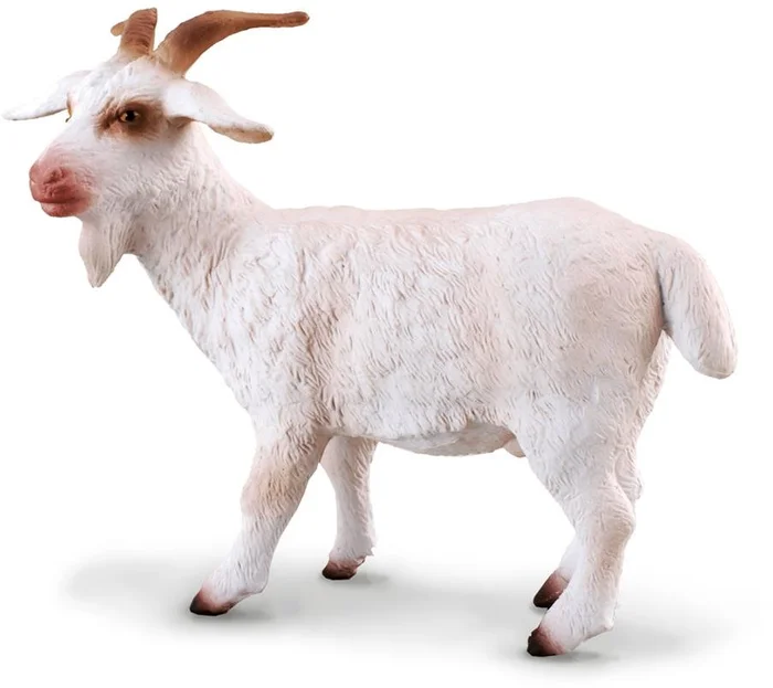 COLLECTA Bok – (M)