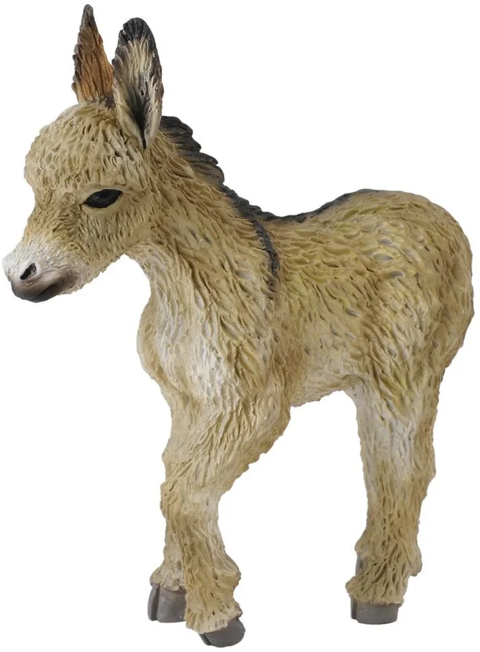 COLLECTA Eselfohlen beim Gehen – (S)