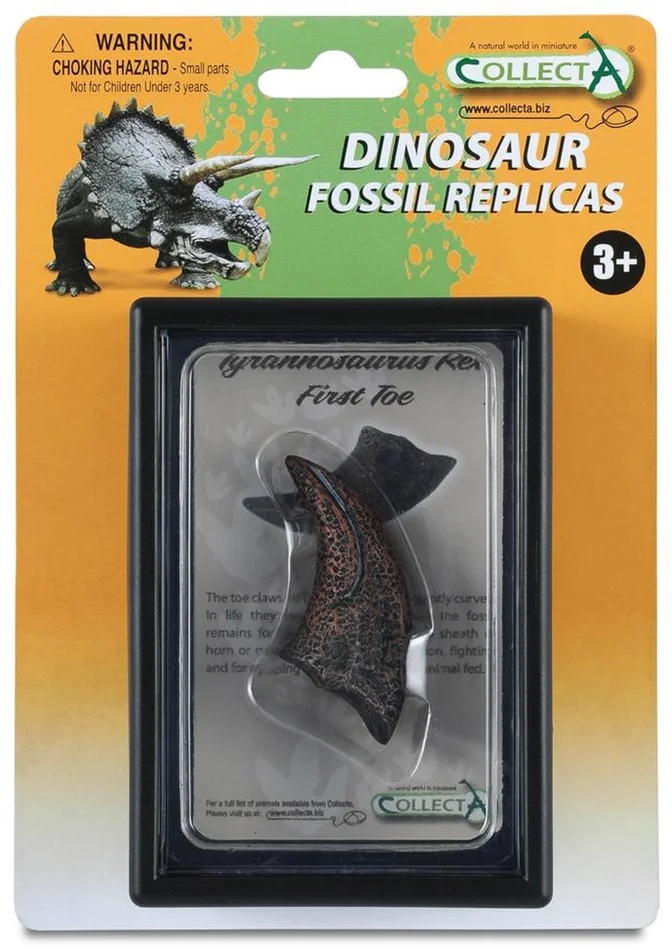 COLLECTA Geschenkset – Vorgeschichte