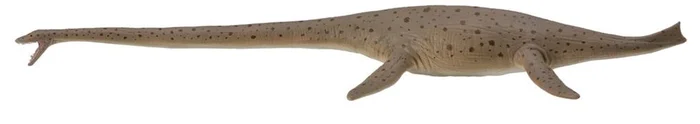 COLLECTA Thalassomedon – 1:40