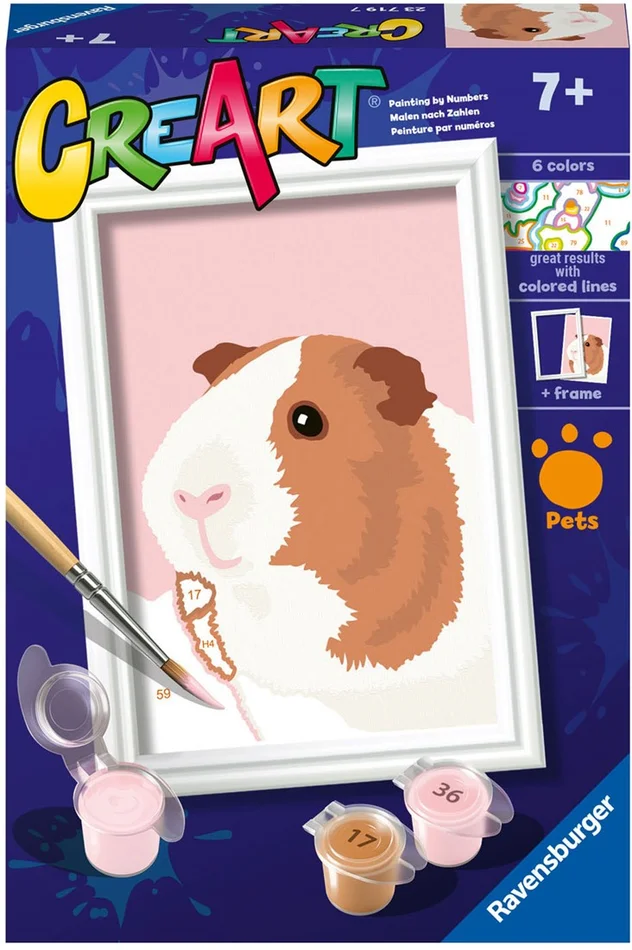 CreArt Schilderen op Nummer – Cavia