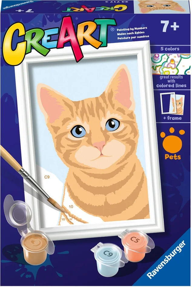 CreArt Schilderen op Nummer – Oranje Tabby