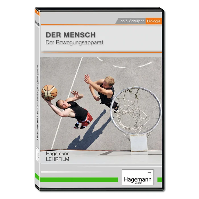 Der Mensch: Der Bewegungsapparat bei Wiemann-Lehrmittel bestellen
