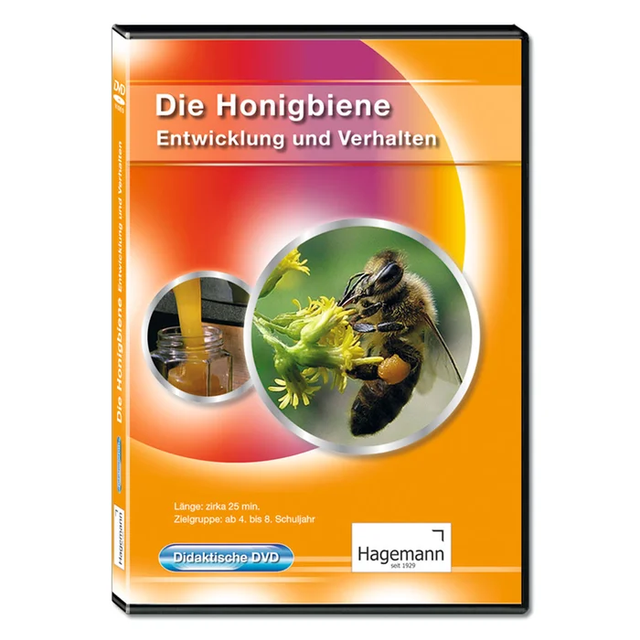 Die Honigbiene – Entwicklung und Verhalten bei Wiemann-Lehrmittel bestellen
