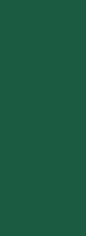 Duni servetten Dark Green 3-laags 33×33