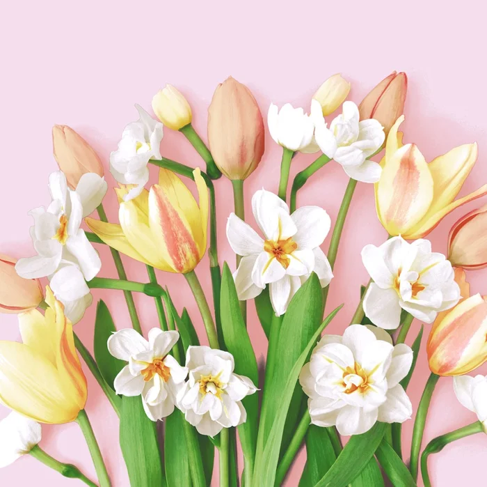 Duni servetten Tulip Joy 3-laags 33x33cm