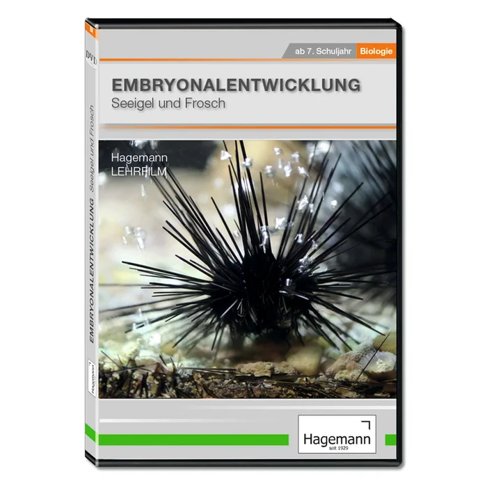 DVD Embryonalentwicklung: Seeigel und Frosch bei Wiemann-Lehrmittel