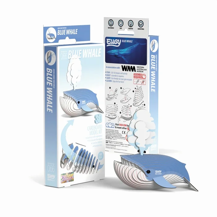 Eugy 3D Bastelset – Blauwal
