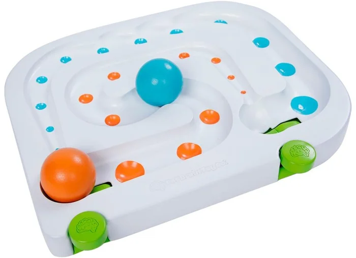 FAT BRAIN TOYS Rollagain Maze