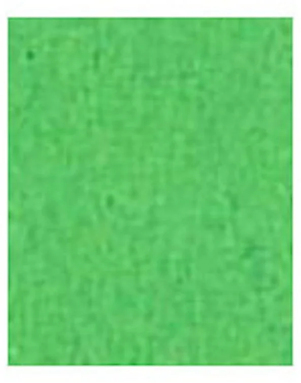 Fotokarton folia appelgroen 50x70cm 300gr pak a 25 vel