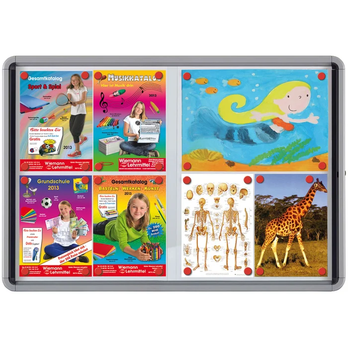 Informationsvitrinen – Alu Tiefe: 5,4 cm | M-42646