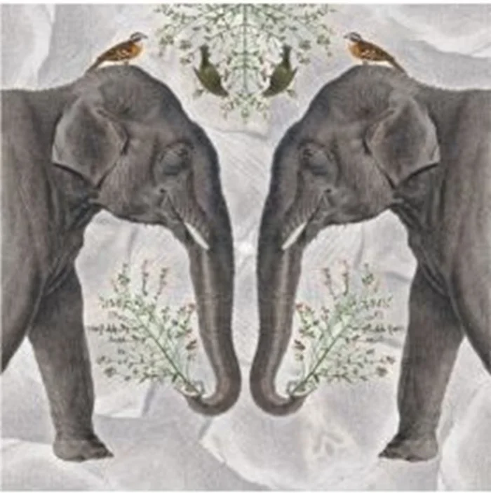 Kaart+envelop Indian Olifant. 16×16 cm