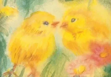 Küken Im Angebot Günstig