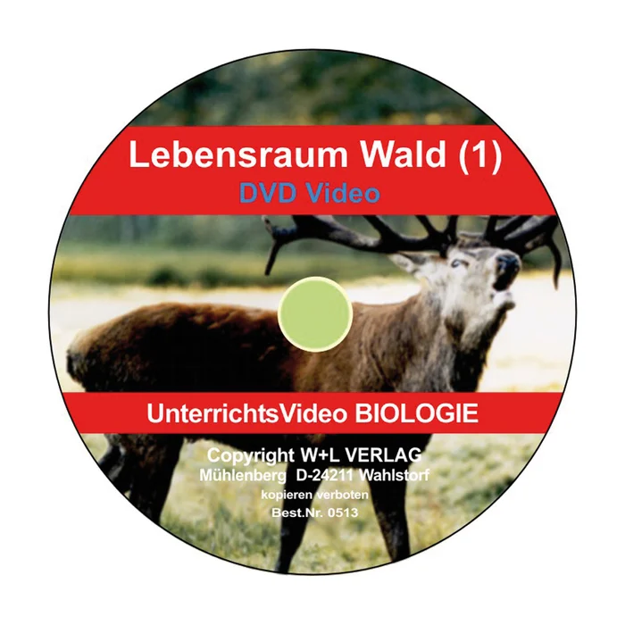 Lebensraum Wald – DVD Teil 1 bei Wiemann-Lehrmittel bestellen