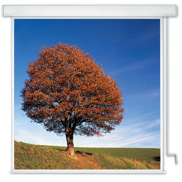 MEDIUM Rollfix Kurbel | M-40777