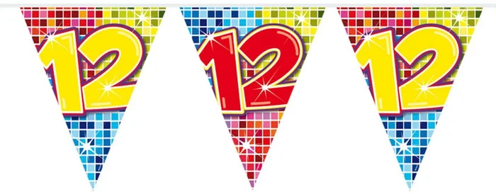 Mini Vlaggenlijn Blocks 12 jaar, 3mtr.