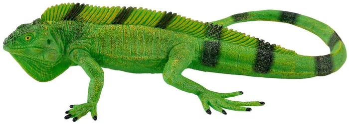 Mojo Wildlife Leguaan – 381095