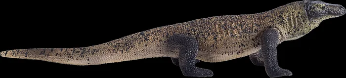 Mojo Wildlife Spielzeug Komodowaran – 381011