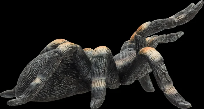 Mojo Wildlife Spielzeug Rotknie-Vogelspinne – 387213