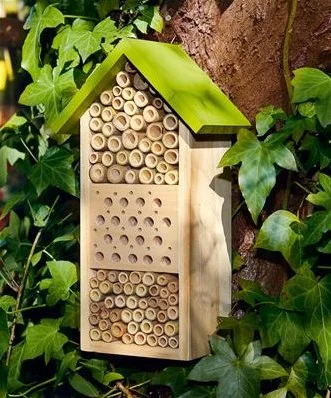 MOSES Hôtel Pour Abeilles