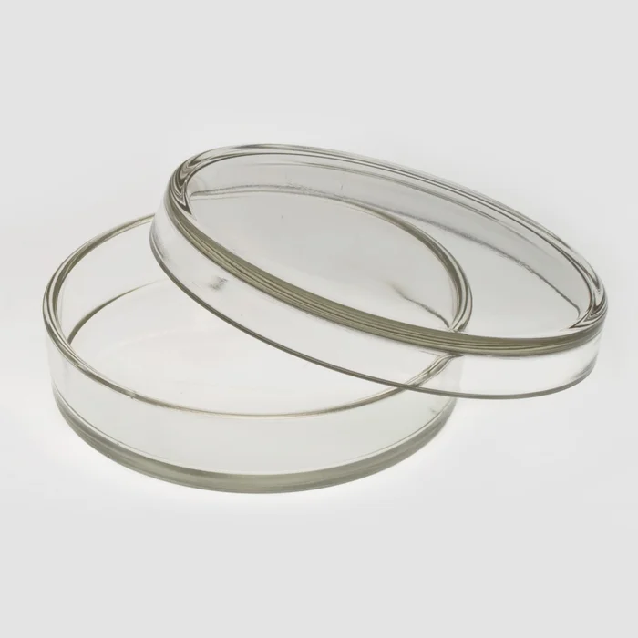 Petrischale in verschiedenen Größen