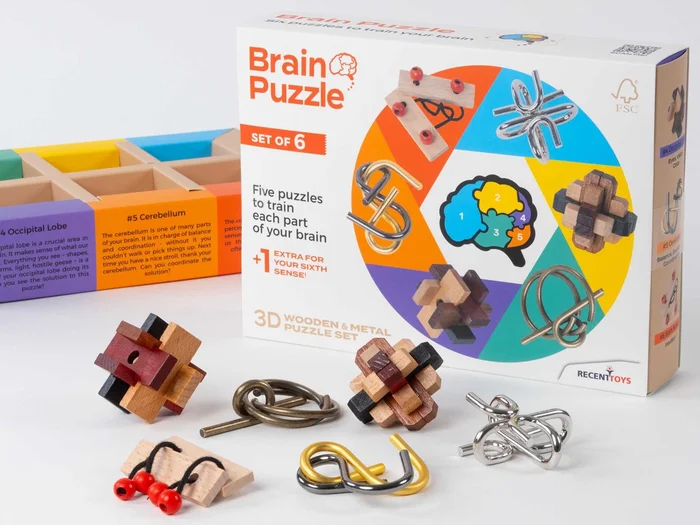 Recent Toys Brainpuzzle Set von 6