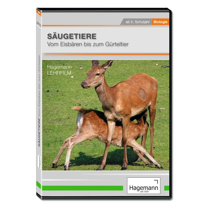 Säugetiere | M-22138