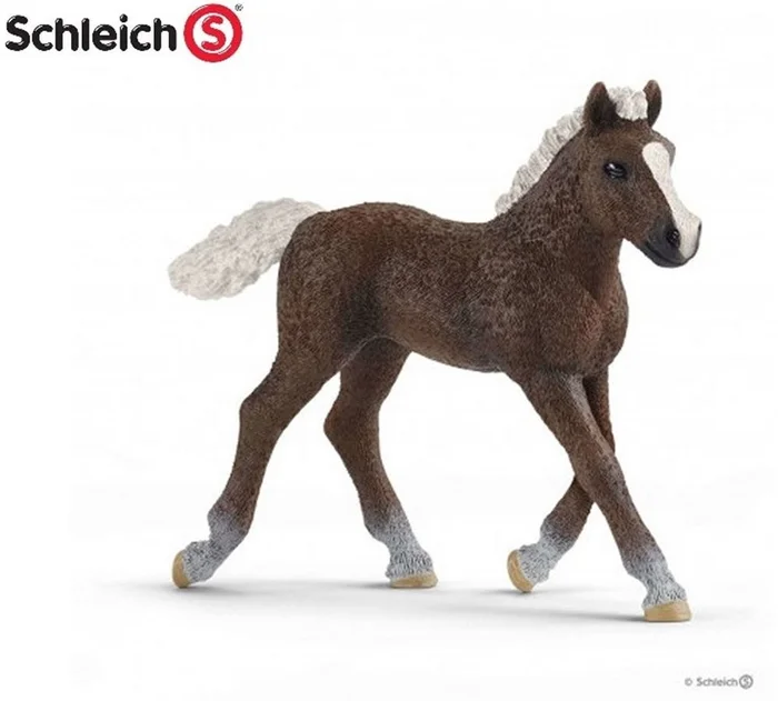 Schleich Schleich Farm World Schwarzwälder veulen. 8×9 cm. 3+