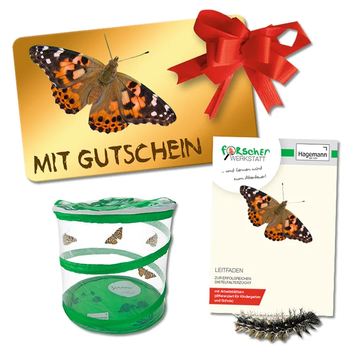 Schmetterlingszucht-Set online kaufen