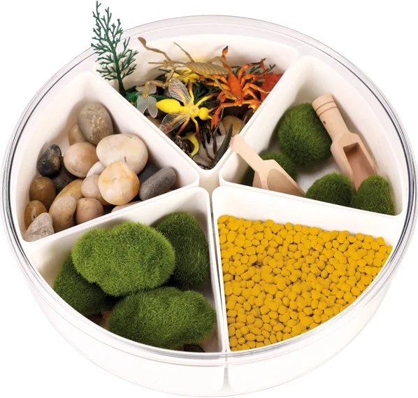 Sensory Box Insects