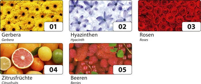 Transparentpapier FRUITS & FLOWERS 5 Rollen je Motiv 50,5×70 cm