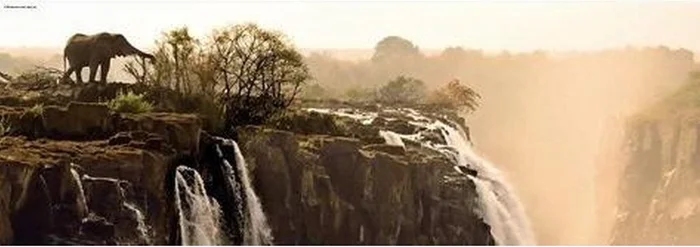 Unbekannt 9287 KV&H Verlag Elephant 1000 Teile Puzzle, Grey