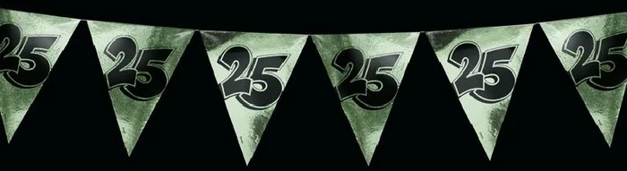 Vlaggenlijn 25 jaar zilver 10 meter